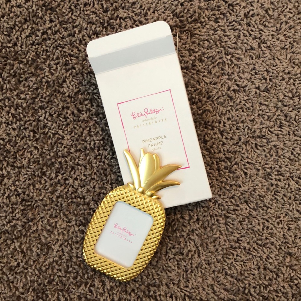 Lilly Pulitzer/Pottery Barn mini pineapple frame